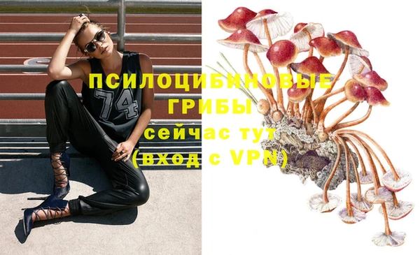 ешки Баксан