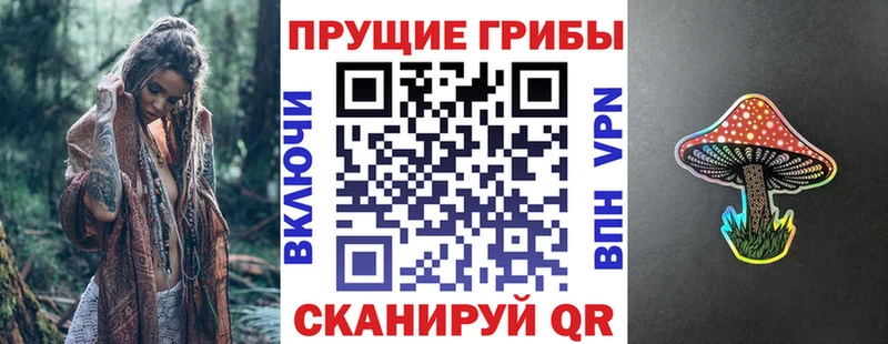 даркнет сайт  Верхоянск  Галлюциногенные грибы Psilocybine cubensis 