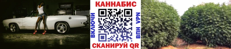 купить наркотики цена  Верхоянск  Бошки Шишки AK-47 